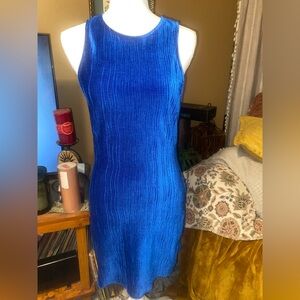 Elegant Vestique Blue Velour Sleeveless Dress